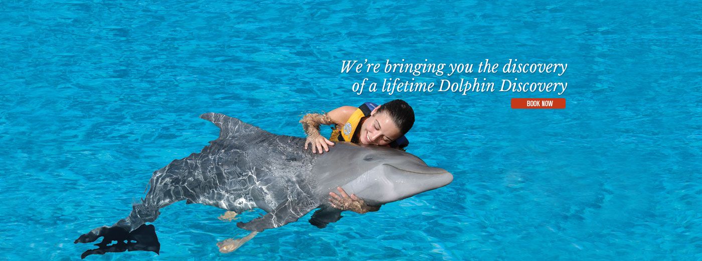 Sample - How To Post (3)